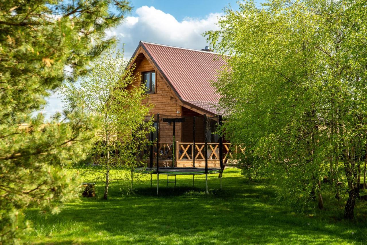 Brzozowy Zakatek Villa Dziemiany Luaran gambar